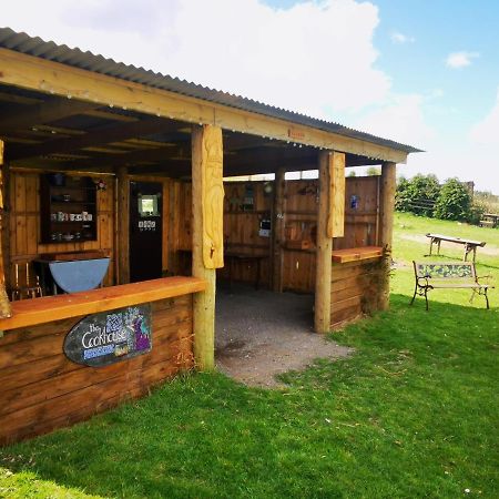 Bluebell Off-Grid Van 牛顿斯图尔特 外观 照片